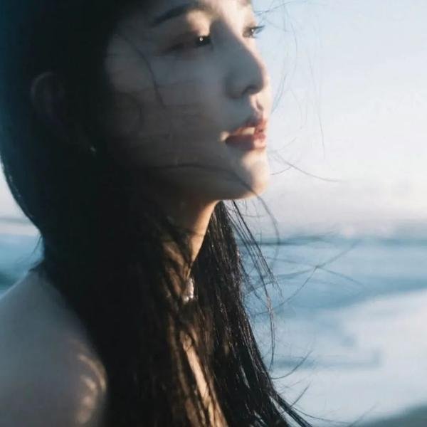 威龙二世